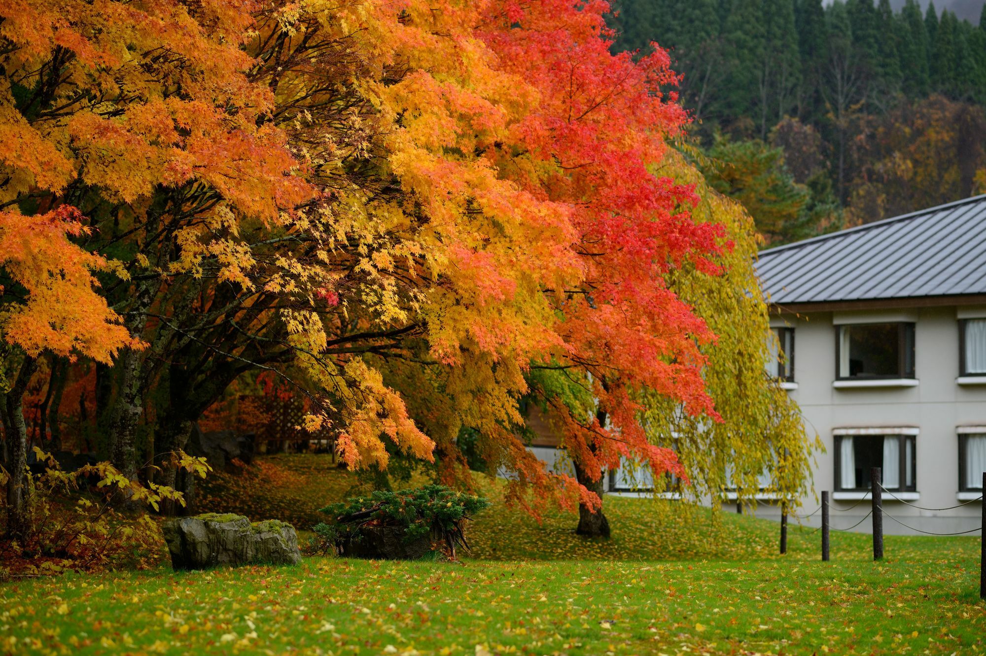 Towada Prince Hotel Kosaka Екстериор снимка